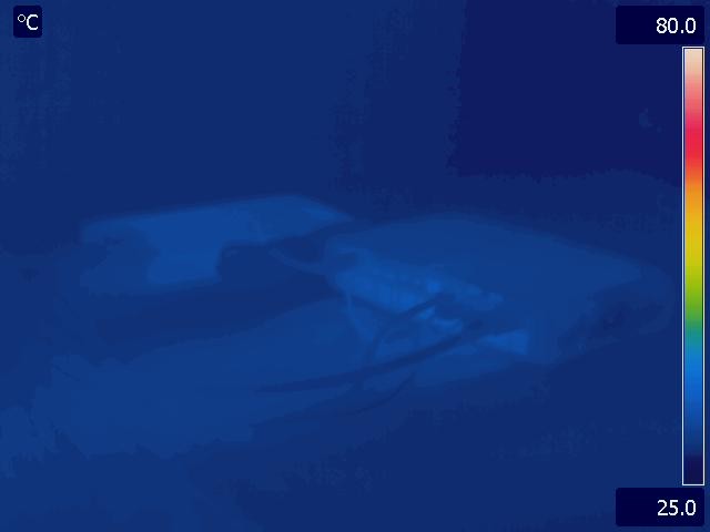 thermal image