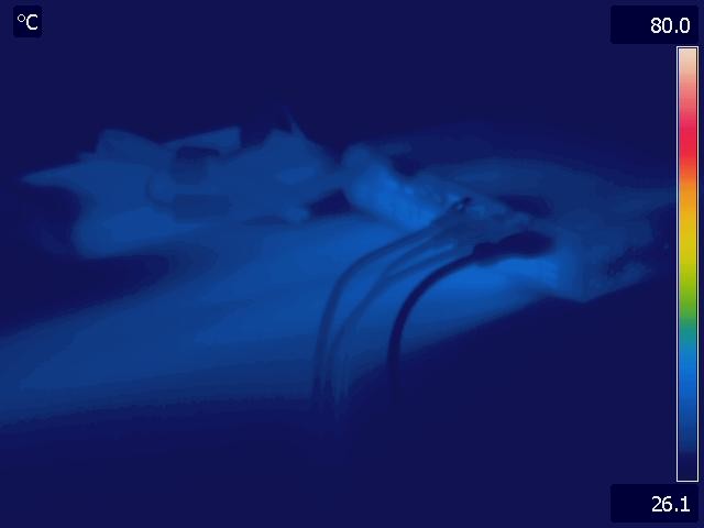 thermal image